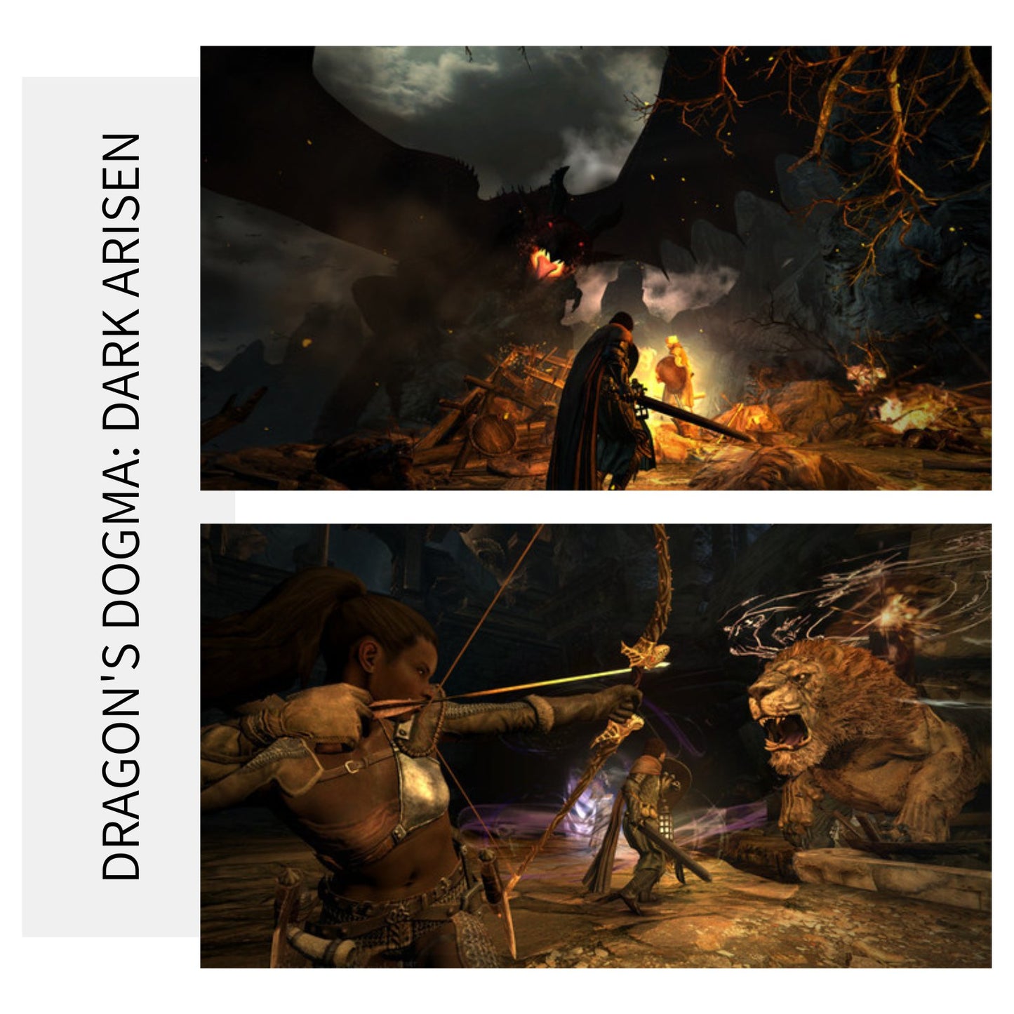 Dragon's Dogma: Dark Arisen | PC Game Steam Key - Killonyi