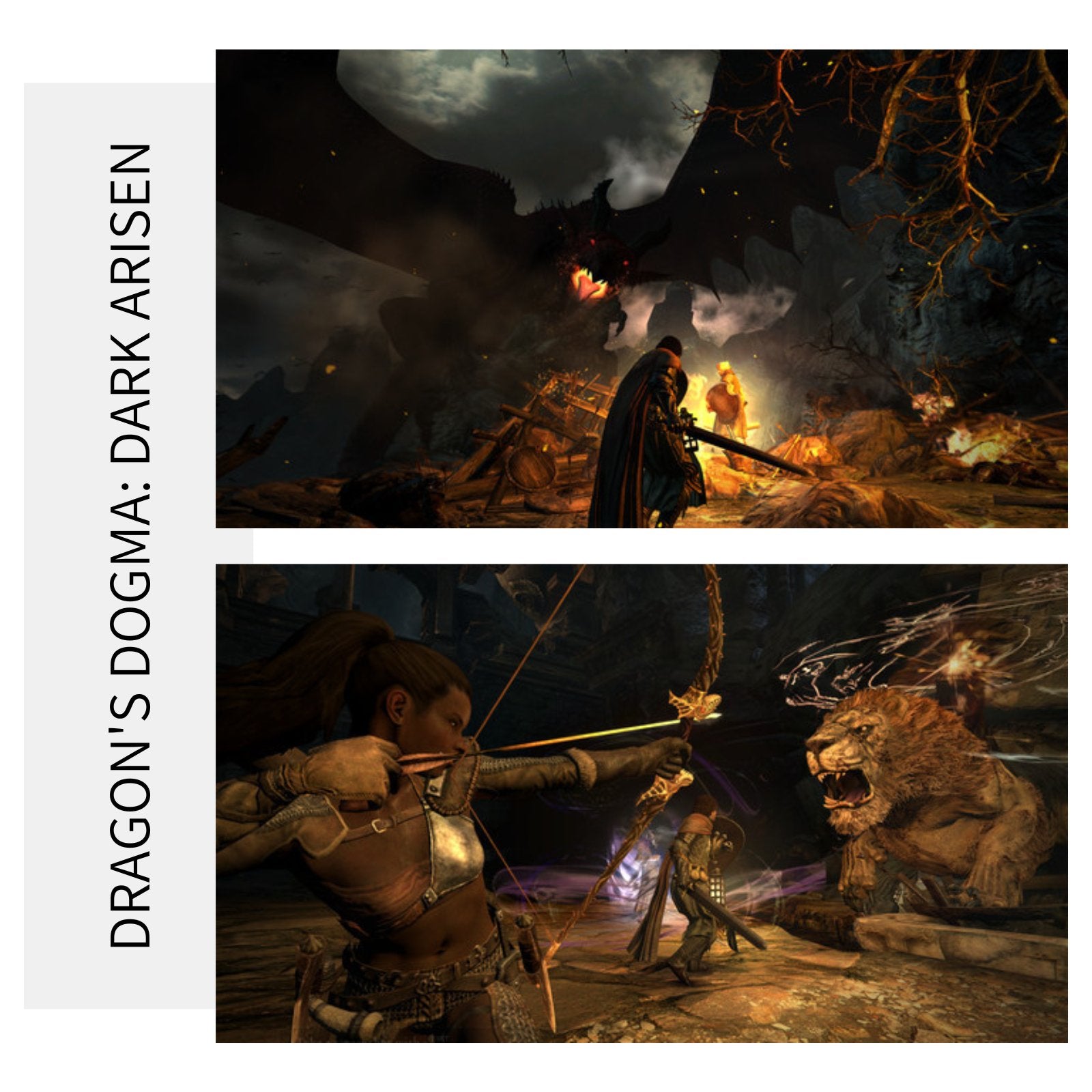 Dragon's Dogma: Dark Arisen | PC Game Steam Key - Killonyi
