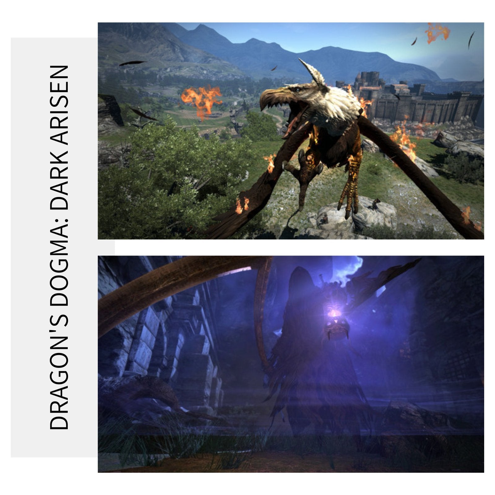 Dragon's Dogma: Dark Arisen | PC Game Steam Key - Killonyi