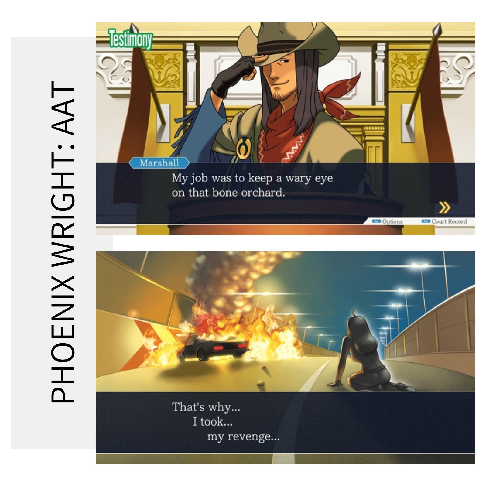 Phoenix Wright: Ace Attorney Trilogy | PC Game Steam Key - Killonyi